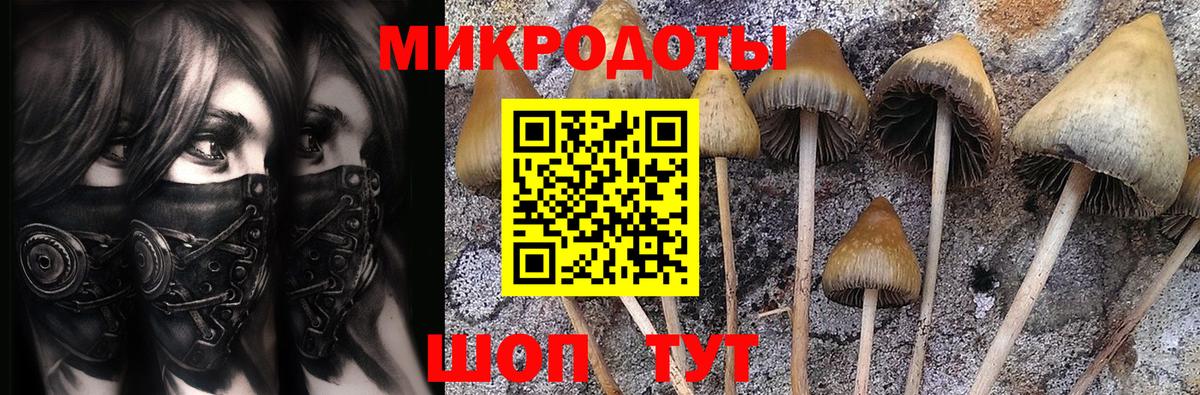 Галлюциногенные грибы Cubensis  Вход с VPN  Владивосток  Псилоцибиновые грибы GOLDEN TEACHER 